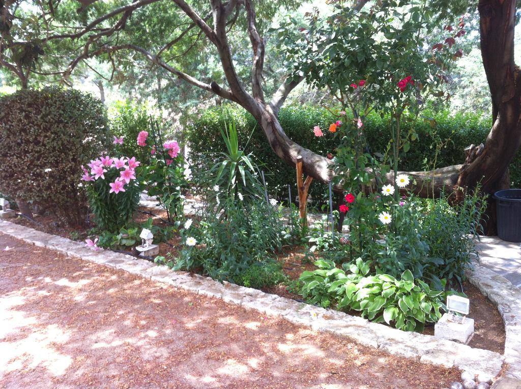 Villa Elofred Saint-Florent (Corsica) Quarto foto