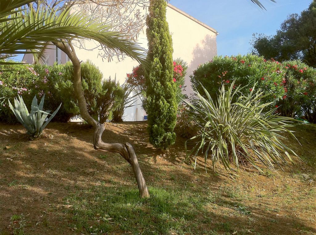 Villa Elofred Saint-Florent (Corsica) Exterior foto
